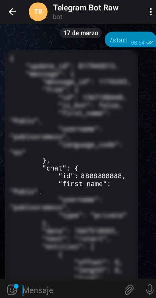 Telegram Bot Raw.